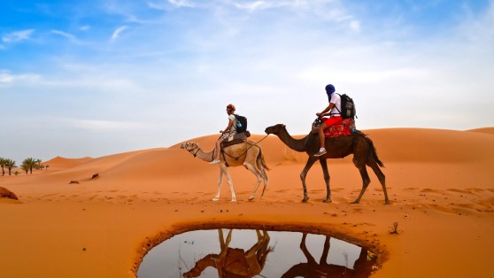 Water, Intake: Are You a Desert or an Oasis?