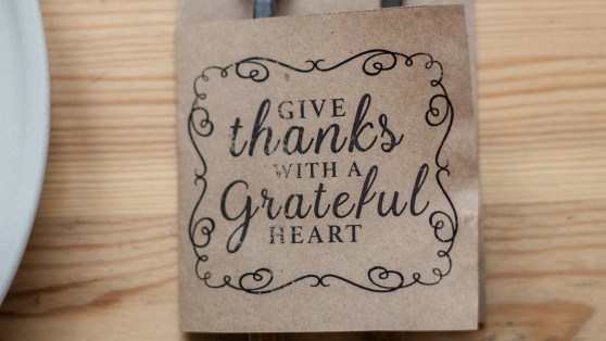 Giving Thanks for 2nd Helpings!