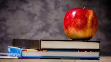 Brain Power: Can Diet Affect Learning?