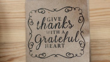 Giving Thanks for Second Helpings 2.0